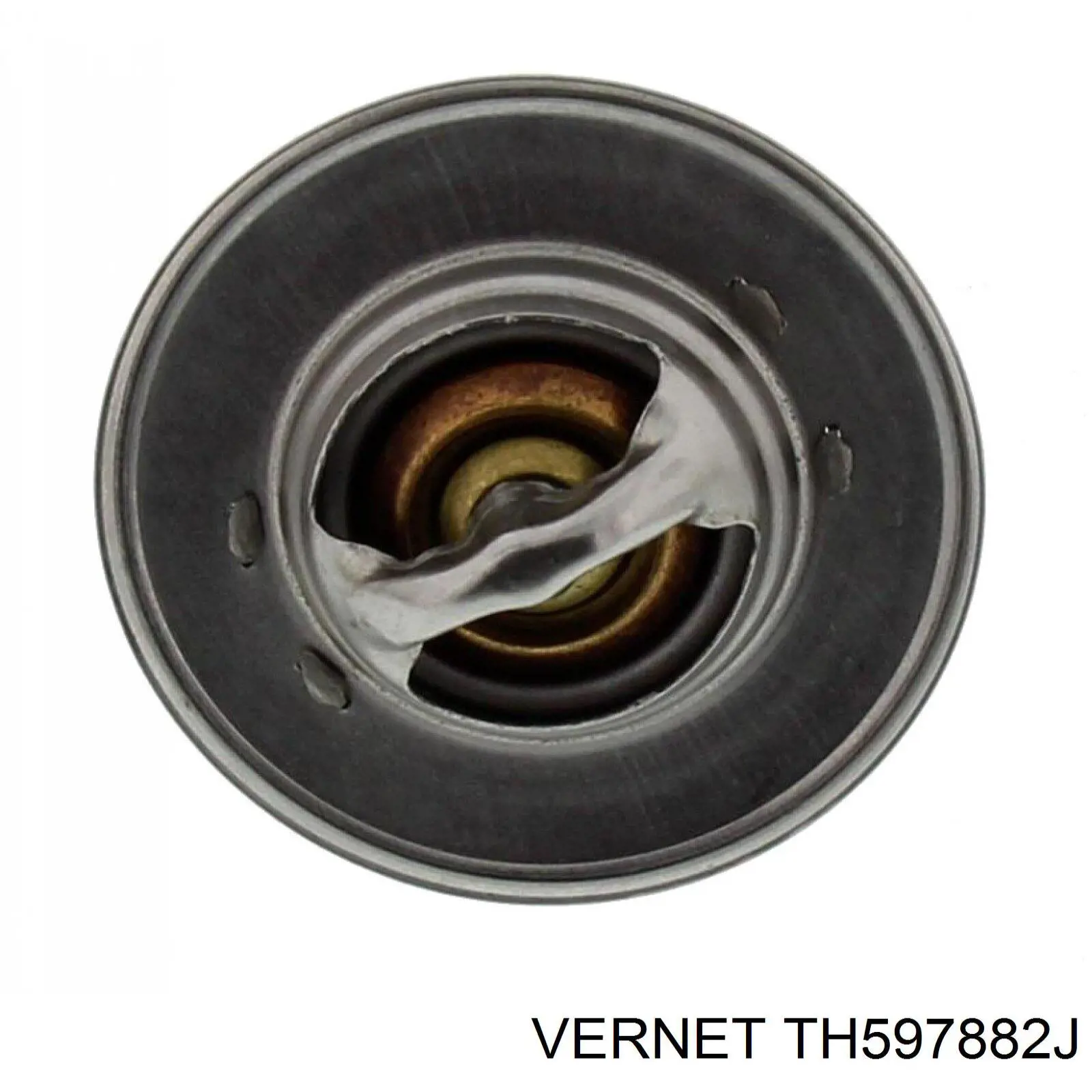 1668305 DAF 