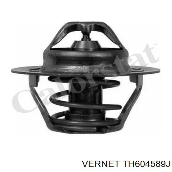 Termostato, refrigerante TH604589J Vernet