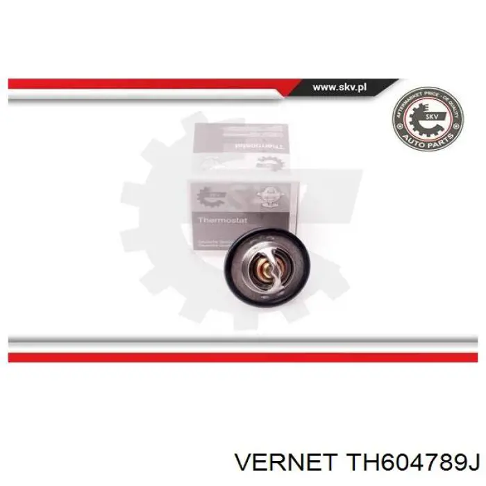 Термостат в корпусе Vernet TH604789J цена, от 8.77 USD