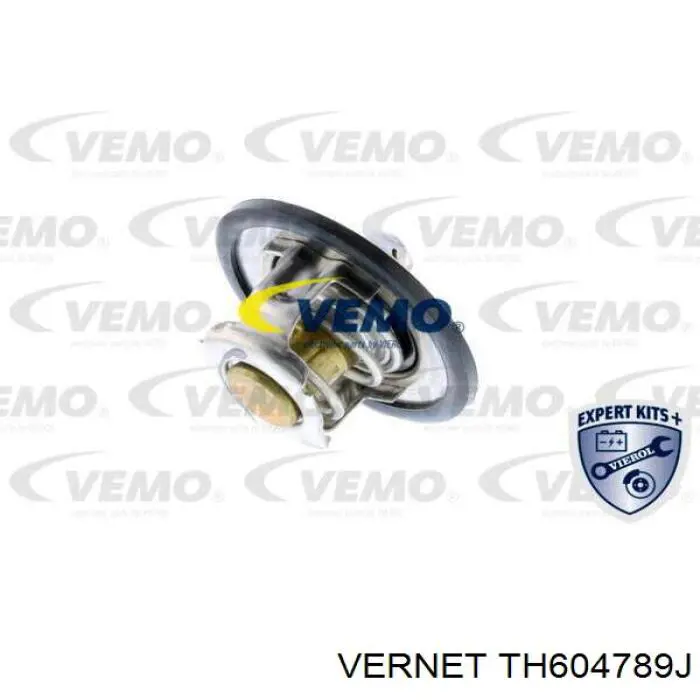 Термостат TH604789J Vernet