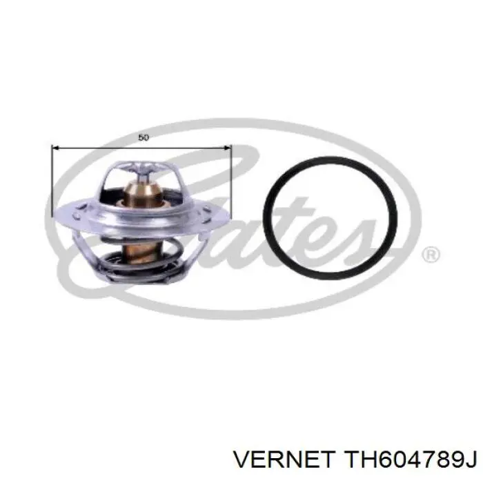 Termostato, refrigerante TH604789J Vernet