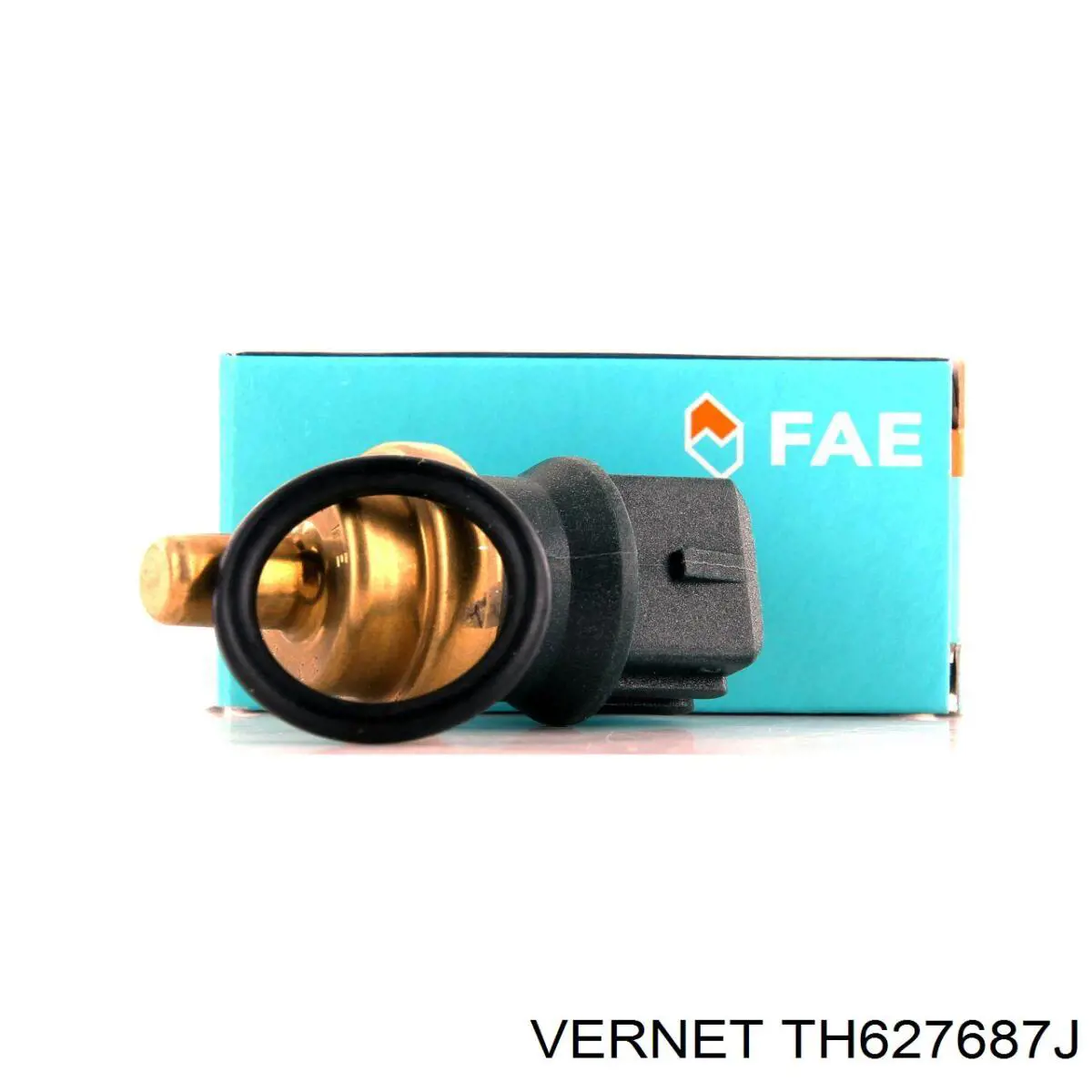 Термостат TH627687J Vernet