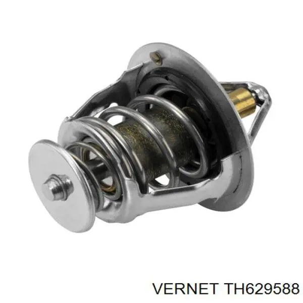 TH629588 Vernet
