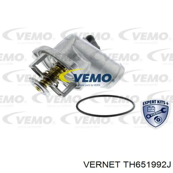 Термостат TH651992J Vernet