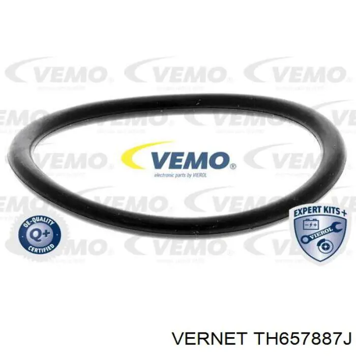Термостат TH657887J Vernet