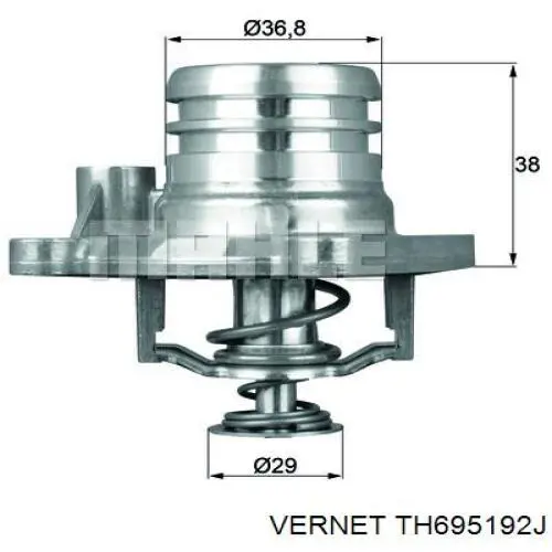 Термостат TH695192J Vernet