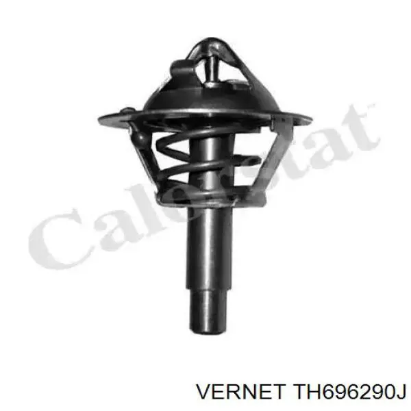 TH696290J Vernet Авто термостат