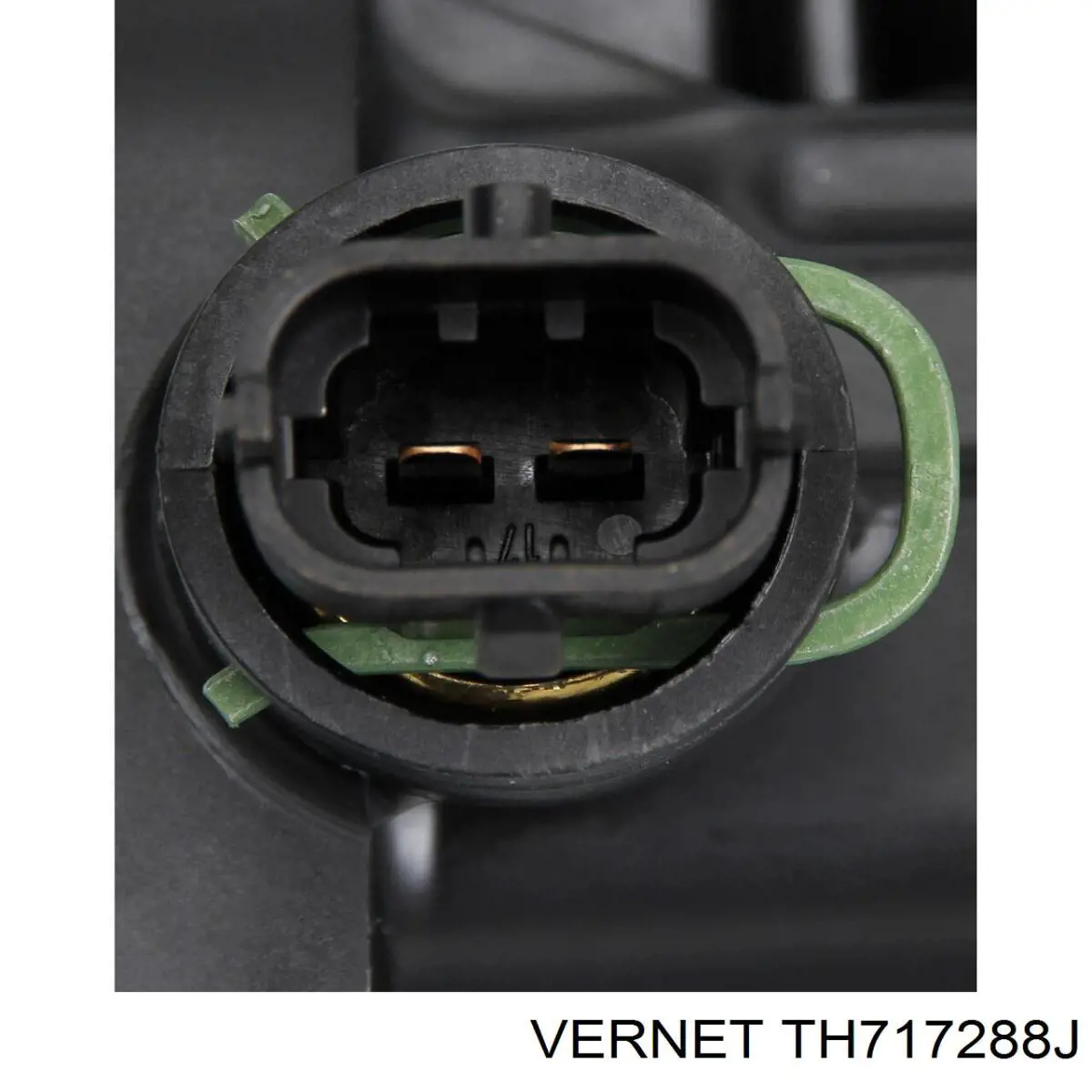 Термостат в сборе Vernet TH717288J