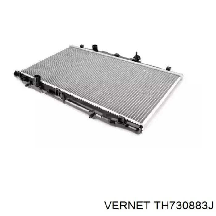 Caja del termostato TH730883J Vernet