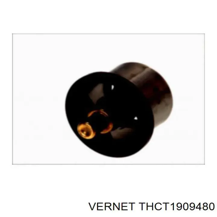 Термостат THCT1909480 Vernet