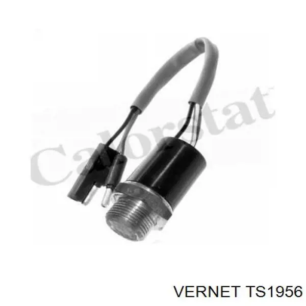 TS1956 Vernet датчик температуры охлаждающей жидкости (включения вентилятора радиатора)