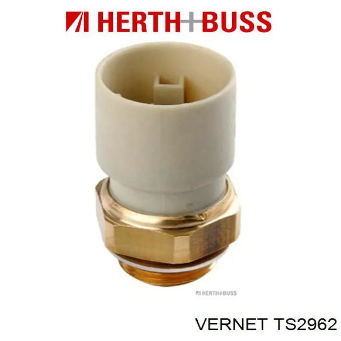 Датчик включения вентилятора TS2962 Vernet