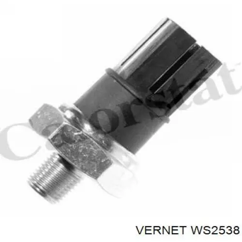 Датчик температуры жидкости Vernet WS2538