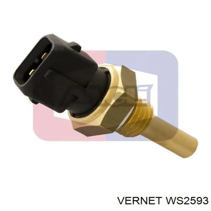 WS2593 Vernet