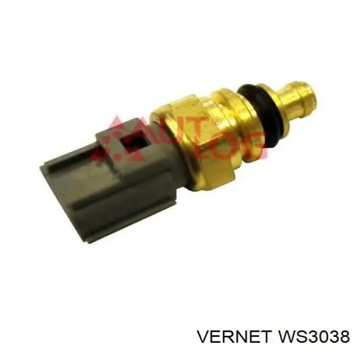 Sensor de temperatura del refrigerante WS3038 Vernet