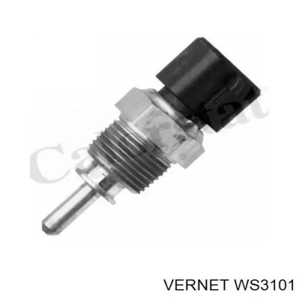 WS3101 Vernet