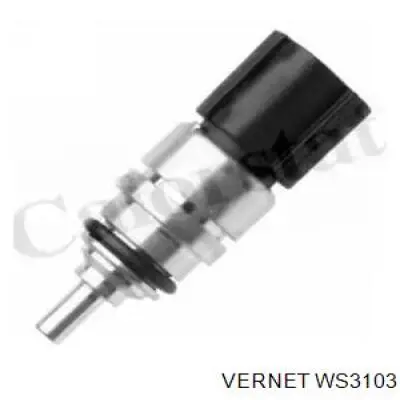 WS3103 Vernet