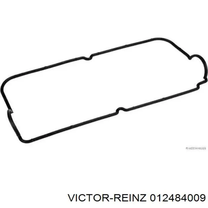 012484009 Victor Reinz комплект прокладок двигателя полный