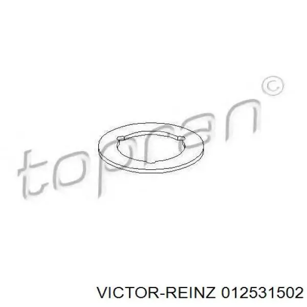 Купить 012531502 Victor Reinz Полный комплект прокладок