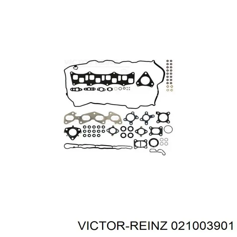  021003901 Victor Reinz