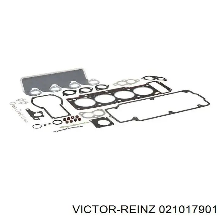  021017901 Victor Reinz