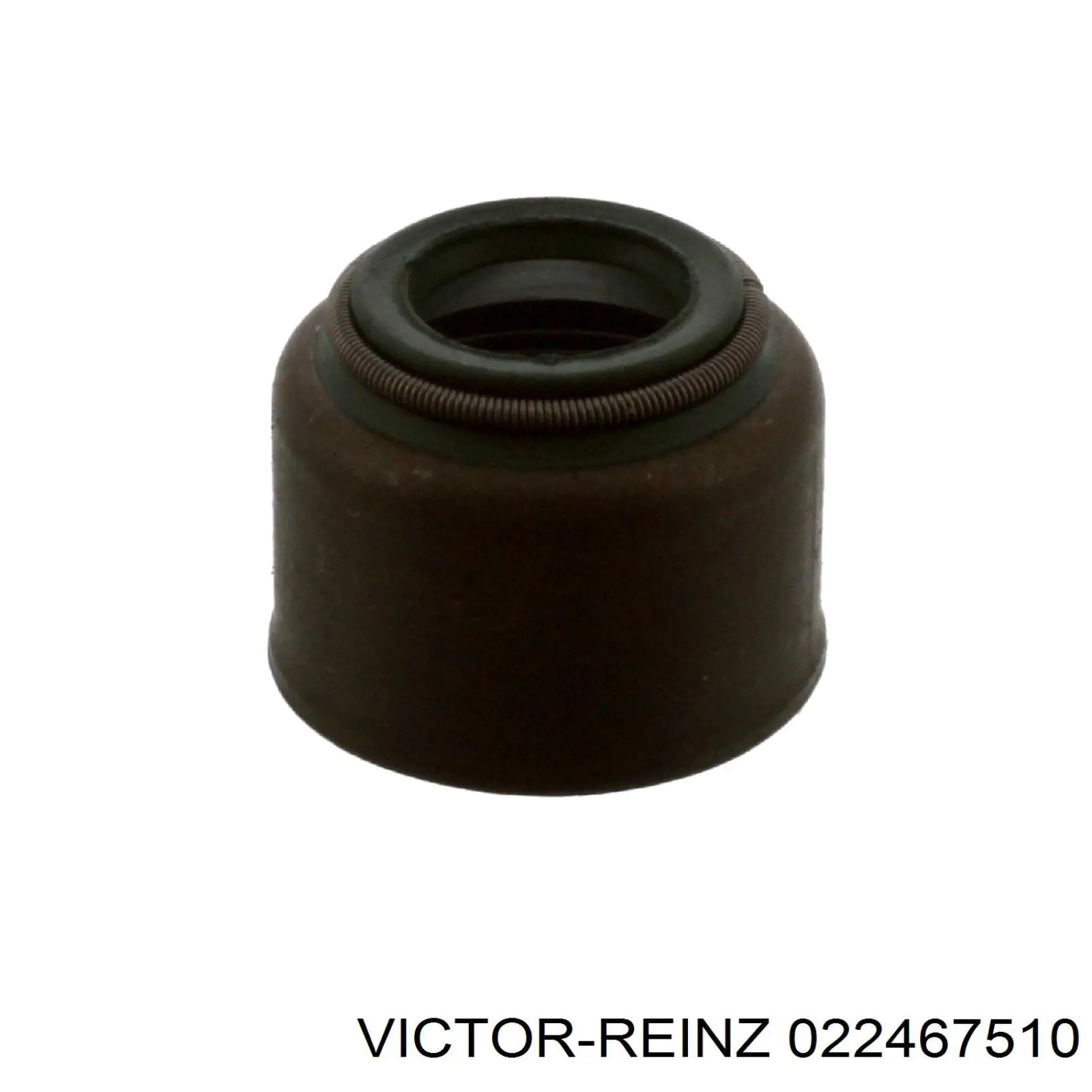 022467510 Victor Reinz Комплект прокладок двигателя верхний