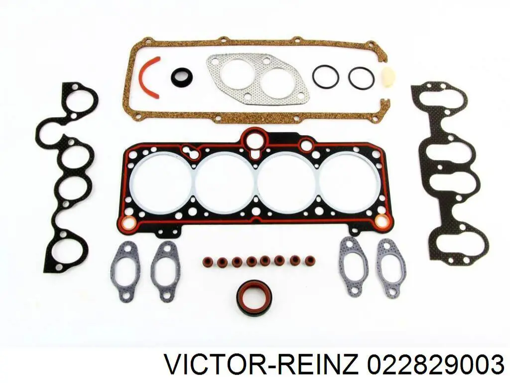 022829003 Victor Reinz