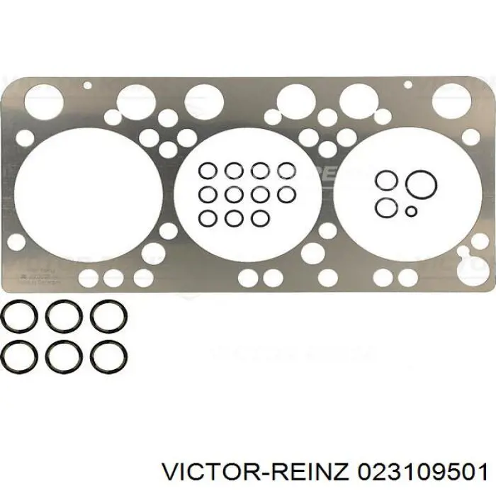 02-31095-01 Victor Reinz комплект прокладок двигателя полный