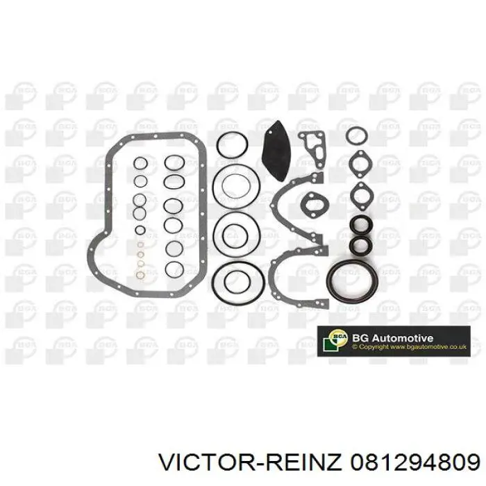 081294809 Victor Reinz