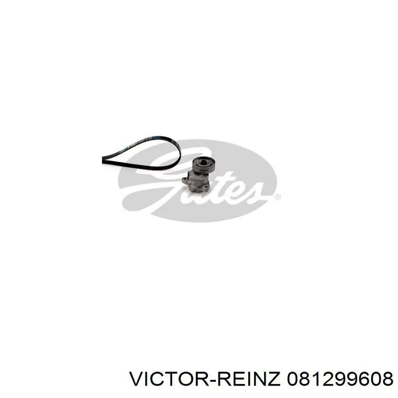 Нижний комплект прокладок двигателя Victor Reinz 081299608 цена, от 16.24 USD