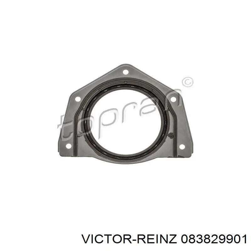 083829901 Victor Reinz