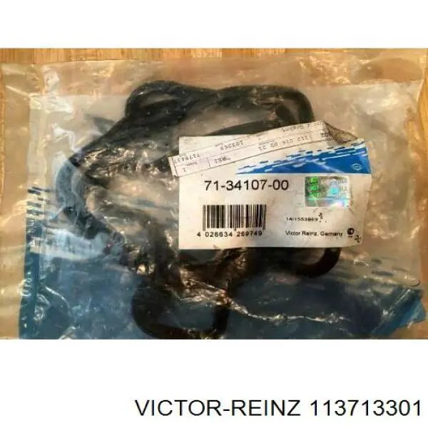 113713301 Victor Reinz