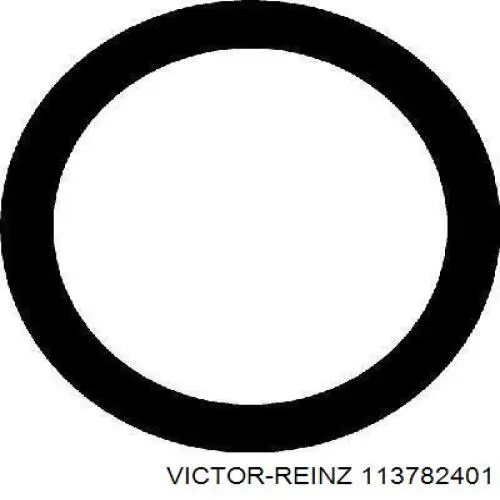 113782401 Victor Reinz