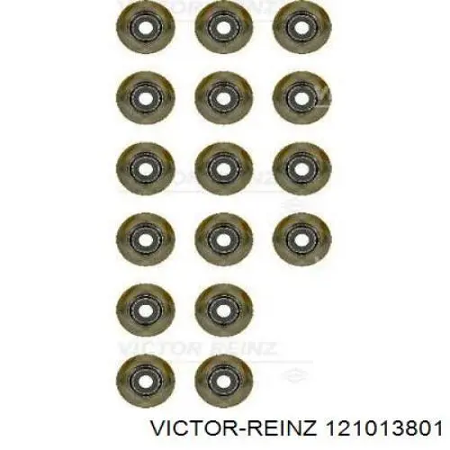 121013801 Victor Reinz Колпачок маслосъёмный