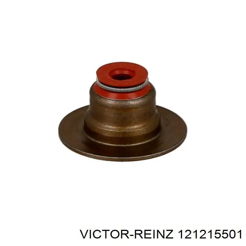 121215501 Victor Reinz