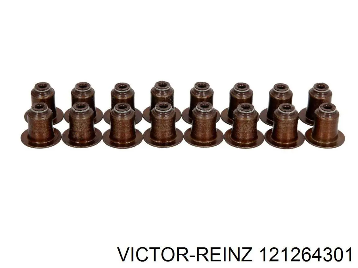 12-12643-01 Victor Reinz vedação de válvula (coletor de óleo, admissão/escape, kit para um motor)