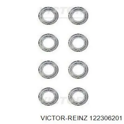 12-23062-01 Victor Reinz сальник клапана (маслосъемный, впуск/выпуск, комплект на мотор)
