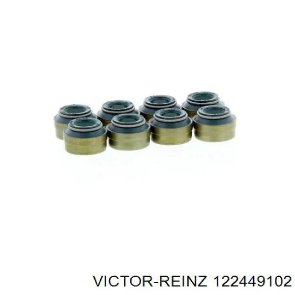 122449102 Victor Reinz vedação de válvula (coletor de óleo, admissão/escape, kit para um motor)