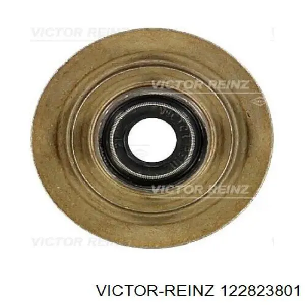 Сальник клапана (маслосъемный), впуск/выпуск, комплект на мотор Victor Reinz 122823801 цена, от 6.23 USD