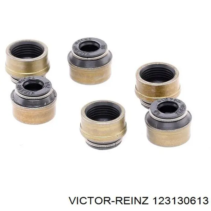 12-31306-13 Victor Reinz vedação de válvula (coletor de óleo, admissão/escape, kit para um motor)