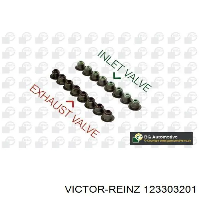 12-33032-01 Victor Reinz сальник клапана (маслосъемный, впуск/выпуск, комплект на мотор)