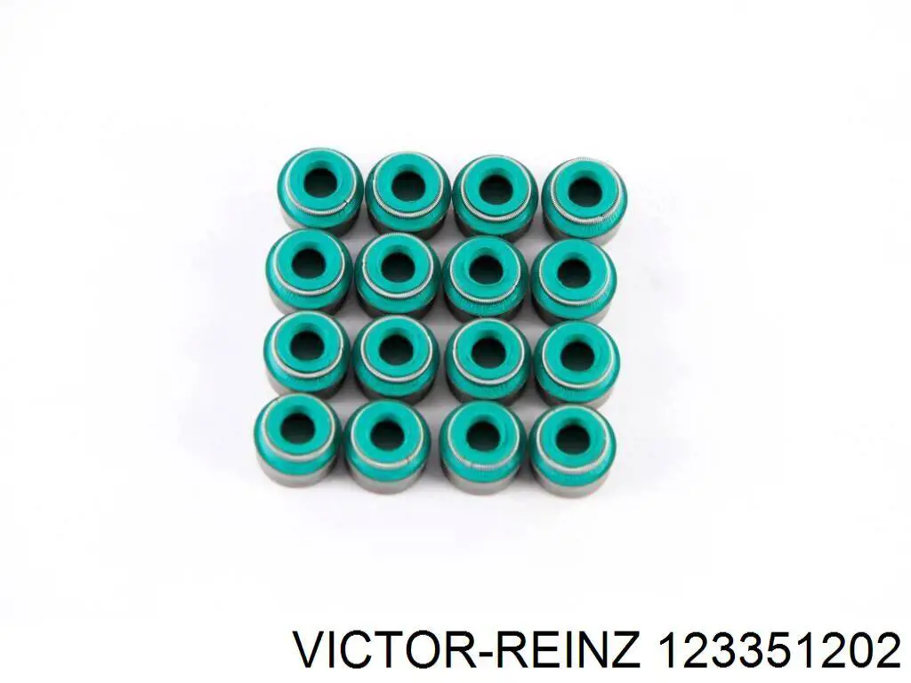12-33512-02 Victor Reinz vedação de válvula (coletor de óleo, admissão/escape, kit para um motor)