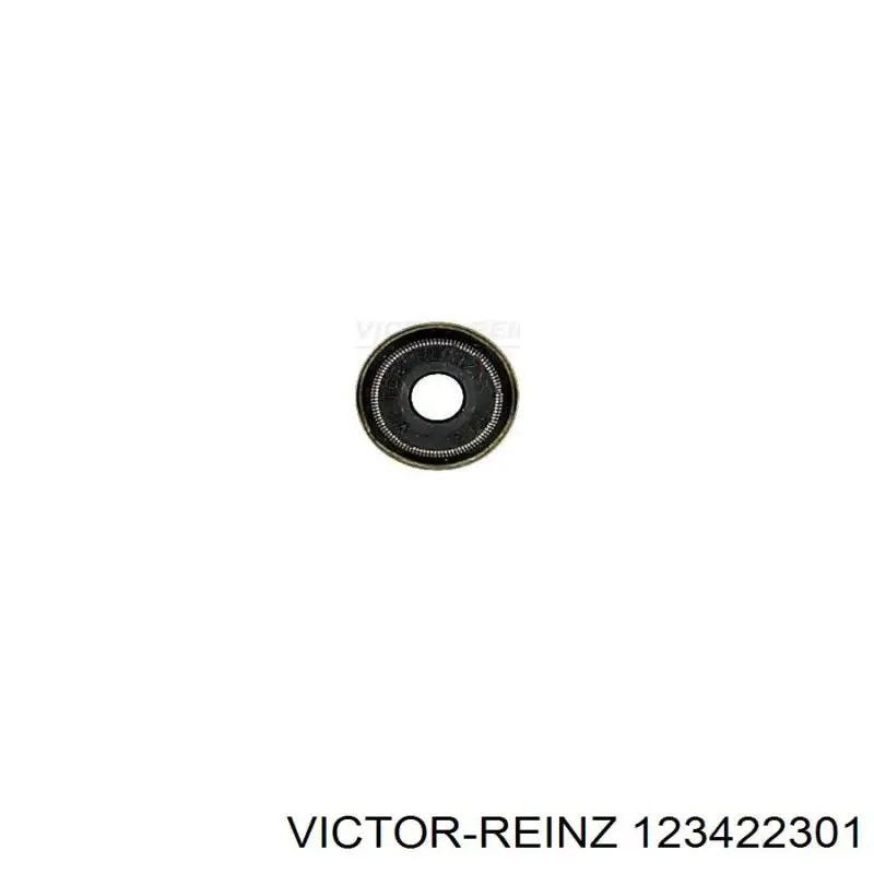 123422301 Victor Reinz сальник клапана (маслосъемный, впуск/выпуск, комплект на мотор)