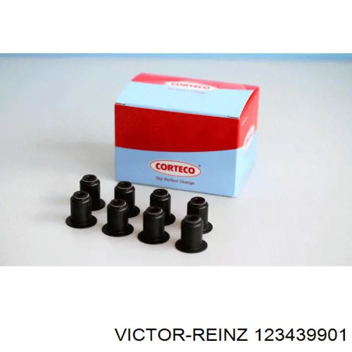 12-34399-01 Victor Reinz сальник клапана (маслосъёмный впускного, комплект)