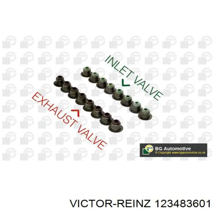 12-34836-01 Victor Reinz сальник клапана (маслосъемный, впуск/выпуск, комплект на мотор)