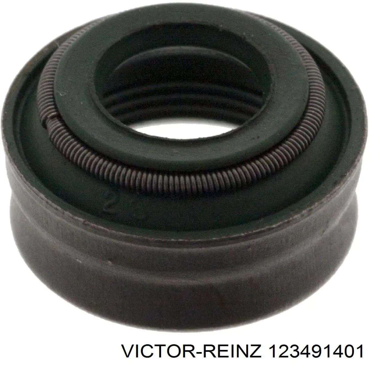 123491401 Victor Reinz сальник клапана (маслосъемный, впуск/выпуск)
