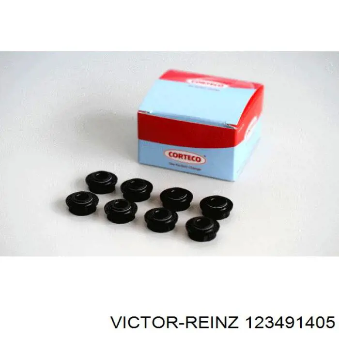 123491405 Victor Reinz сальник клапана (маслосъемный, впуск/выпуск, комплект на мотор)