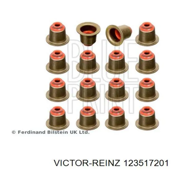 12-35172-01 Victor Reinz сальник клапана (маслосъемный, впуск/выпуск, комплект на мотор)