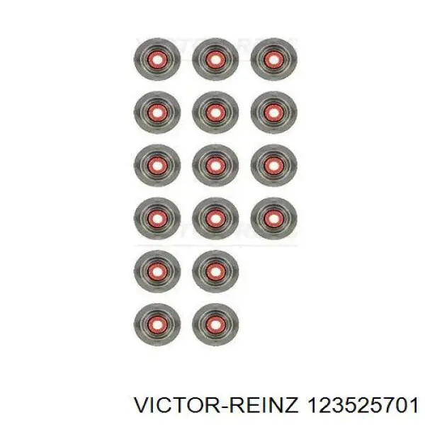 123525701 Victor Reinz Колпачок маслосъёмный