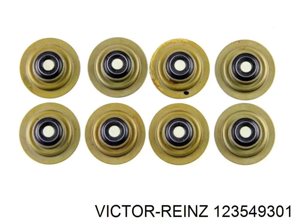 123549301 Victor Reinz сальник клапана (маслосъемный, впуск/выпуск, комплект на мотор)